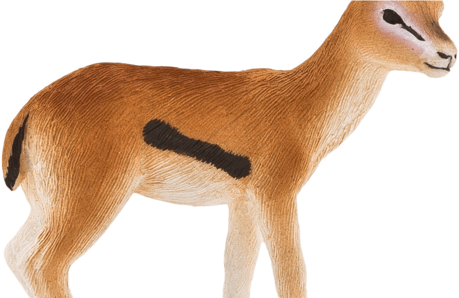 Download Gazelle Transparent Background Hq Png Image - Transparent Background Gazelle Drawing Clipart (1000x605), Png Download