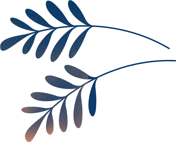 Clip Art - Png Download (740x596), Png Download