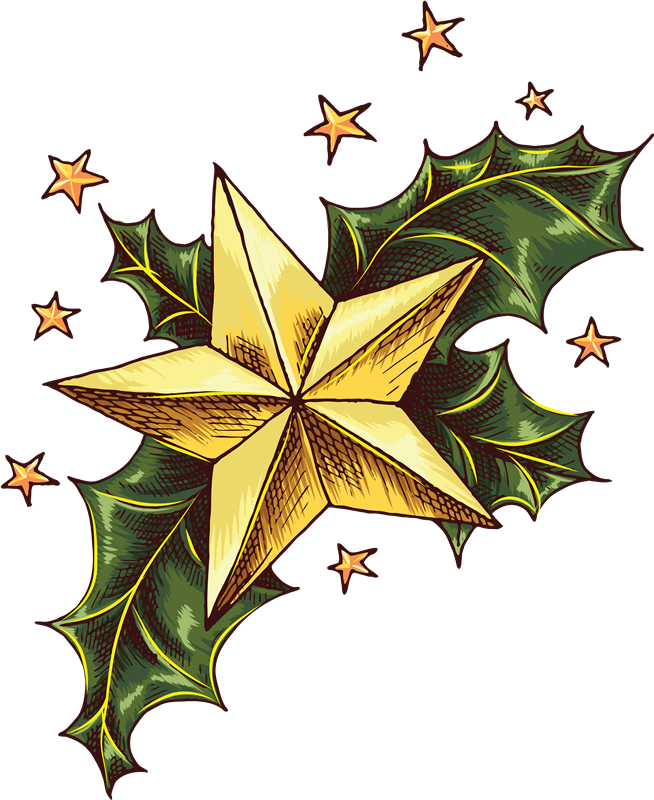 654 X 800 12 - Estrela De Natal Desenho Clipart (654x800), Png Download
