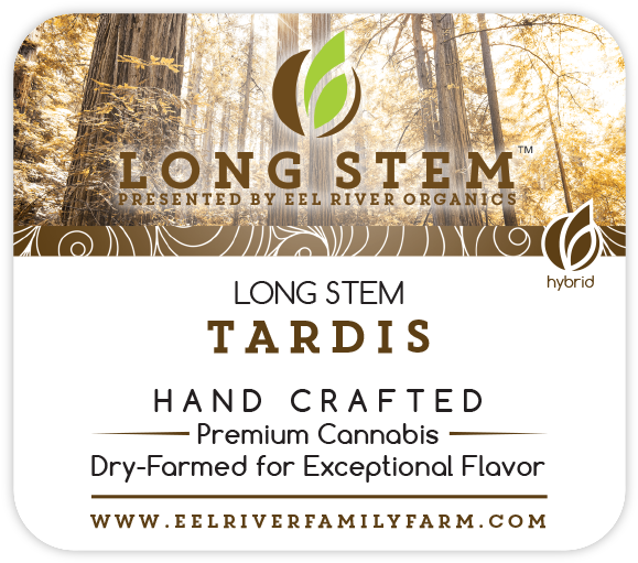 Quinta Del Bosque Clipart (620x556), Png Download