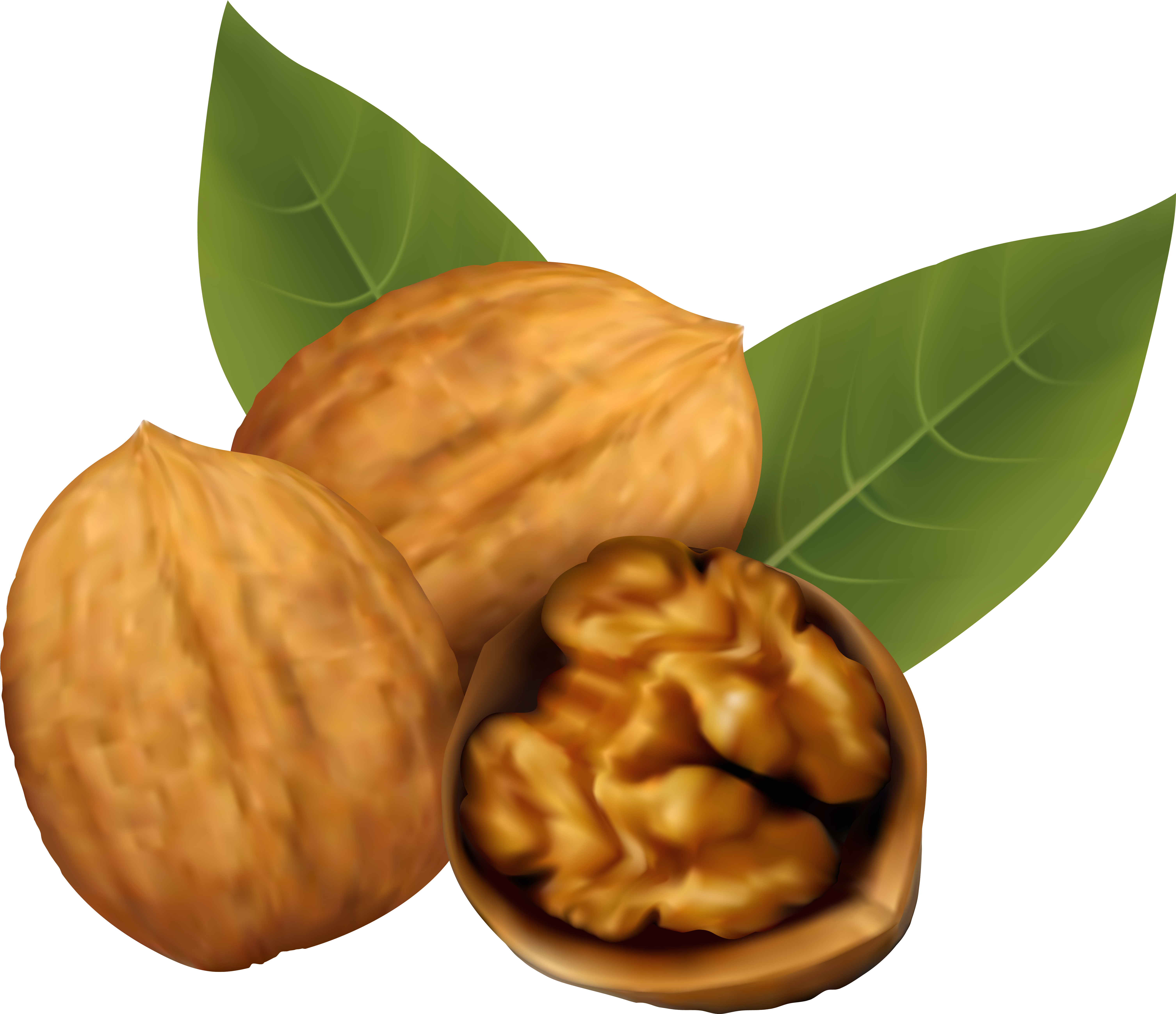 Walnuts Png Clipart Image - Walnut Clipart Transparent Png (6270x5401), Png Download