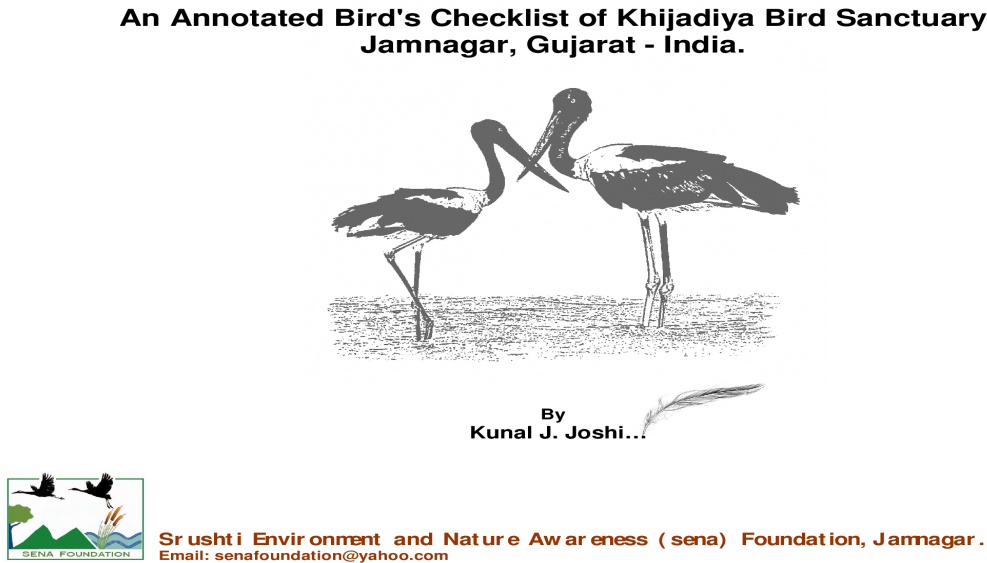 White Stork Clipart (1200x630), Png Download