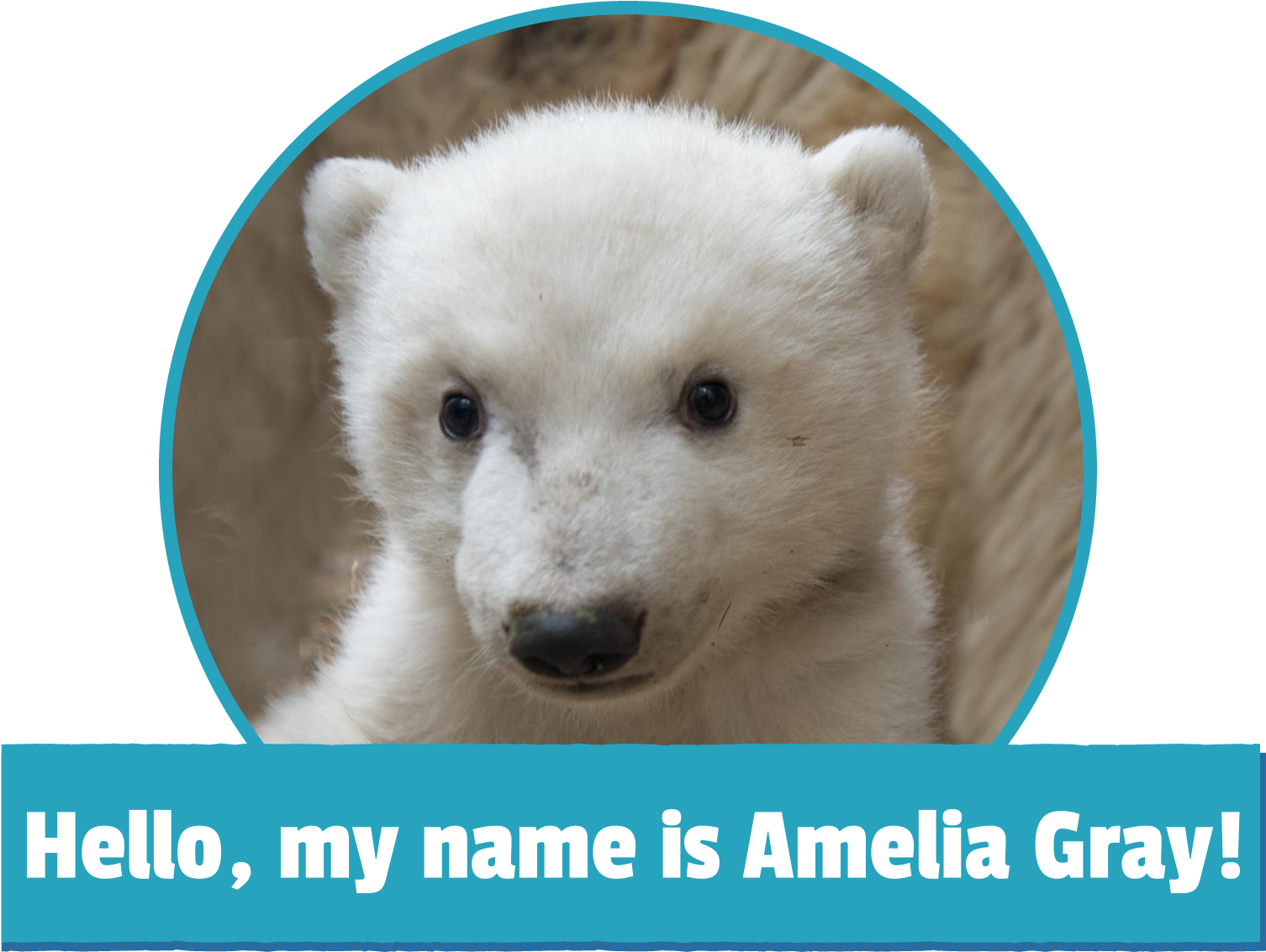 My Name Is Amelia Gray Image - Amelia Gray Polar Bear Clipart (1600x1600), Png Download