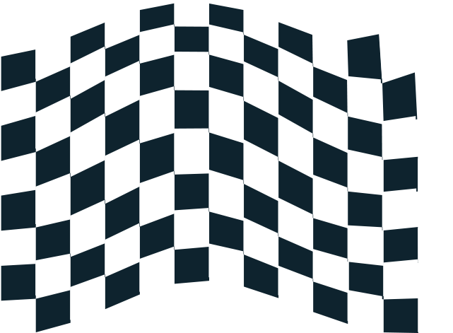 Chequered Flag Icon 2 Free Vector - Chequered Flags Clip Art - Png Download (800x800), Png Download