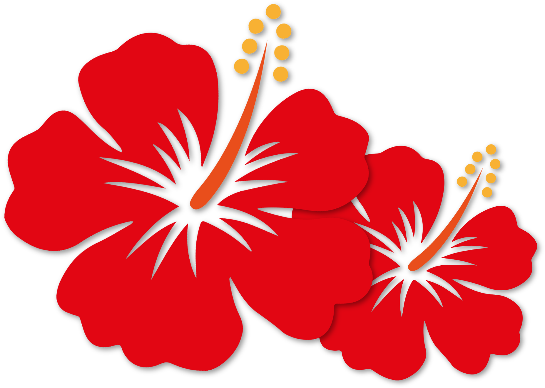 Hibiscus Clipart Malaysia Clipart Hibiscus Png Transparent Png Large Size Png Image Pikpng