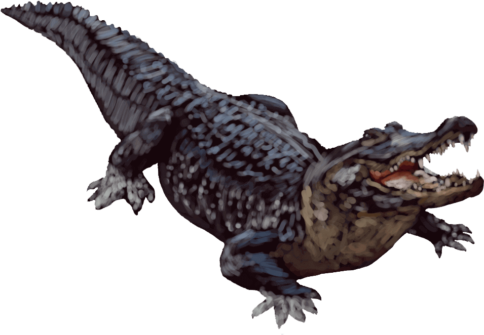 Alligator Transparent Background - American Alligator White Background Clipart (1000x1000), Png Download