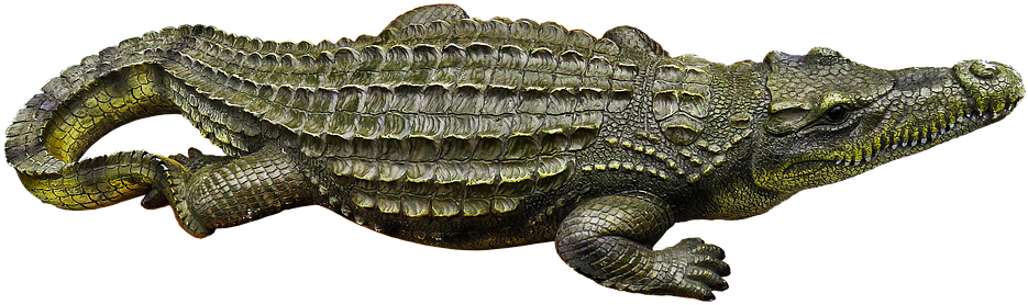 Crocodile, Metal Figure, Art Figure, Horticulture - American Crocodile Clipart (960x355), Png Download