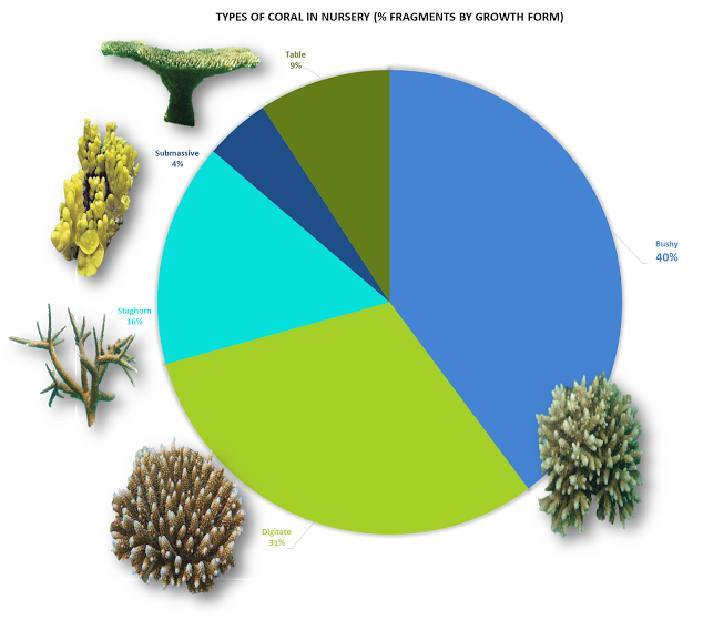 Graphic Design Clipart (640x570), Png Download