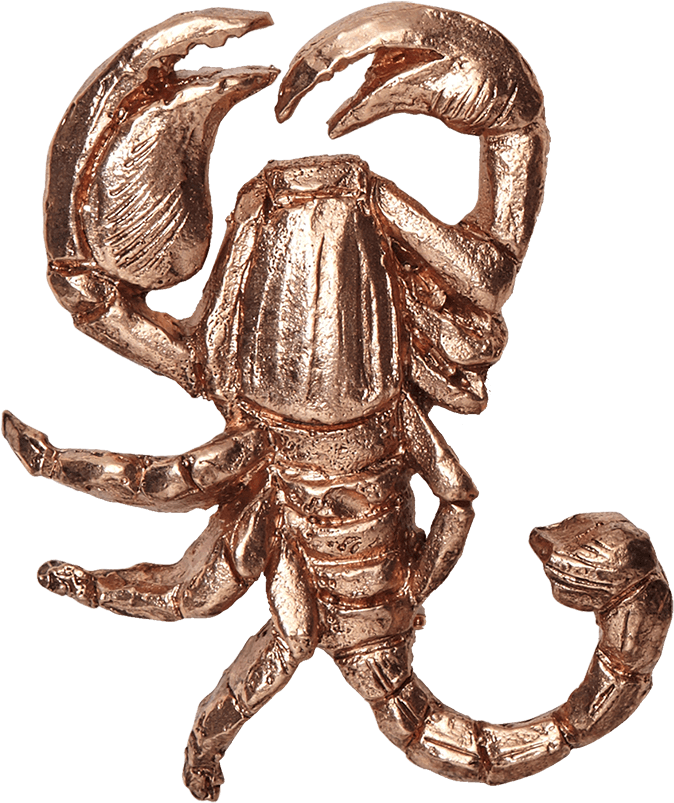 Fw18 - Scorpion Clipart (960x1440), Png Download