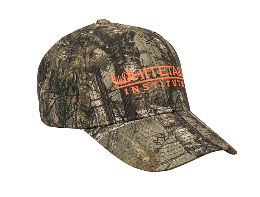 Larger / More Photos Clipart (900x682), Png Download