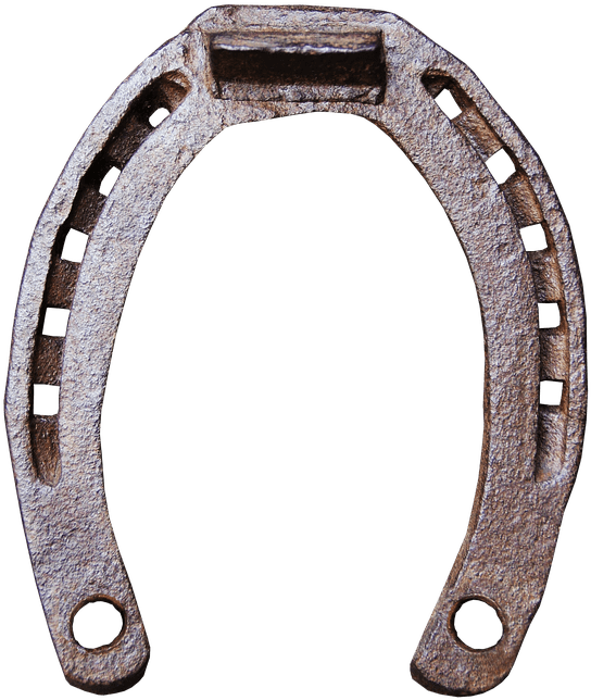 Miscellaneous - Horseshoes - Horseshoes Png Clipart (601x720), Png Download