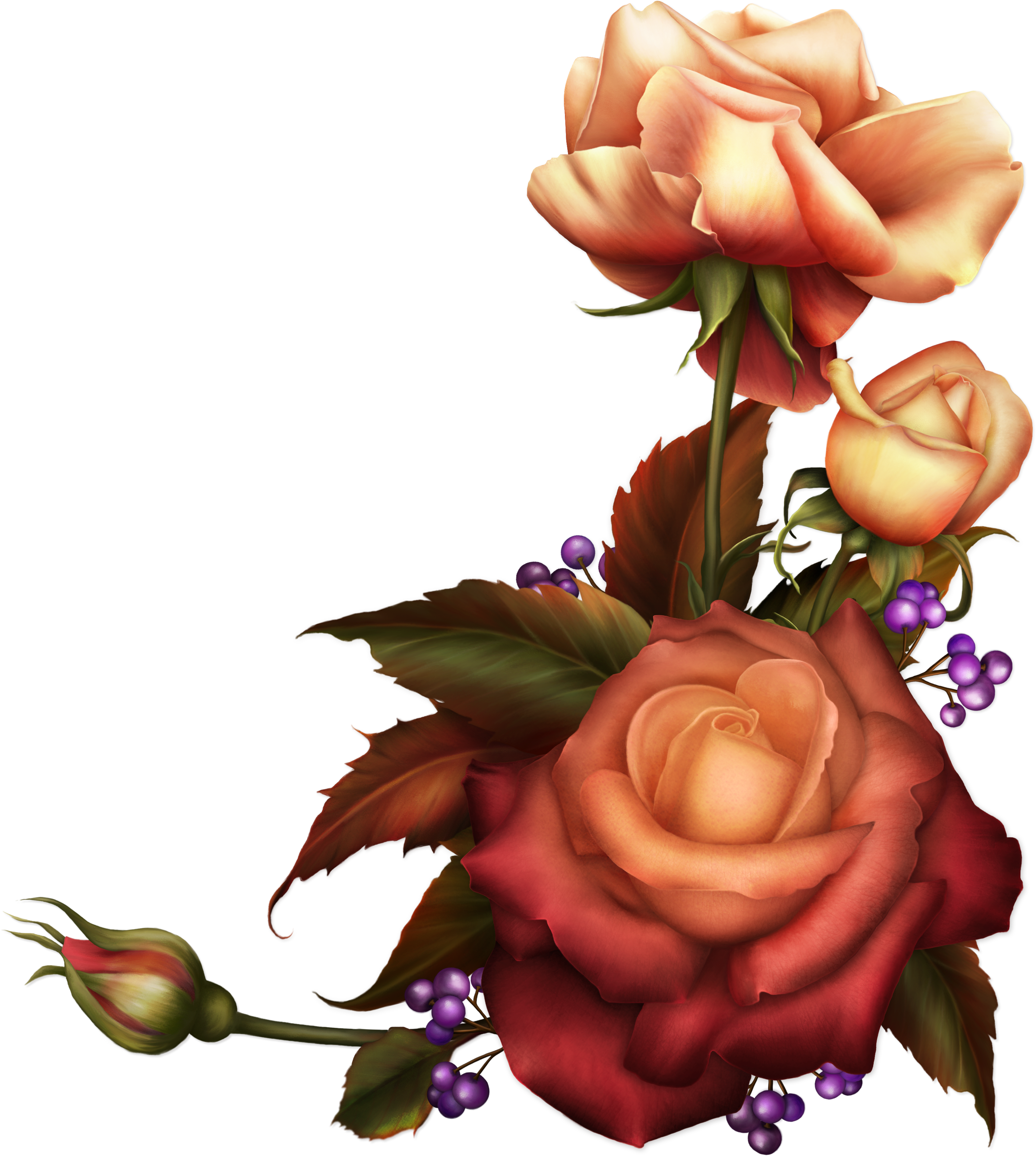 3057 X 3411 12 Clipart (3057x3411), Png Download