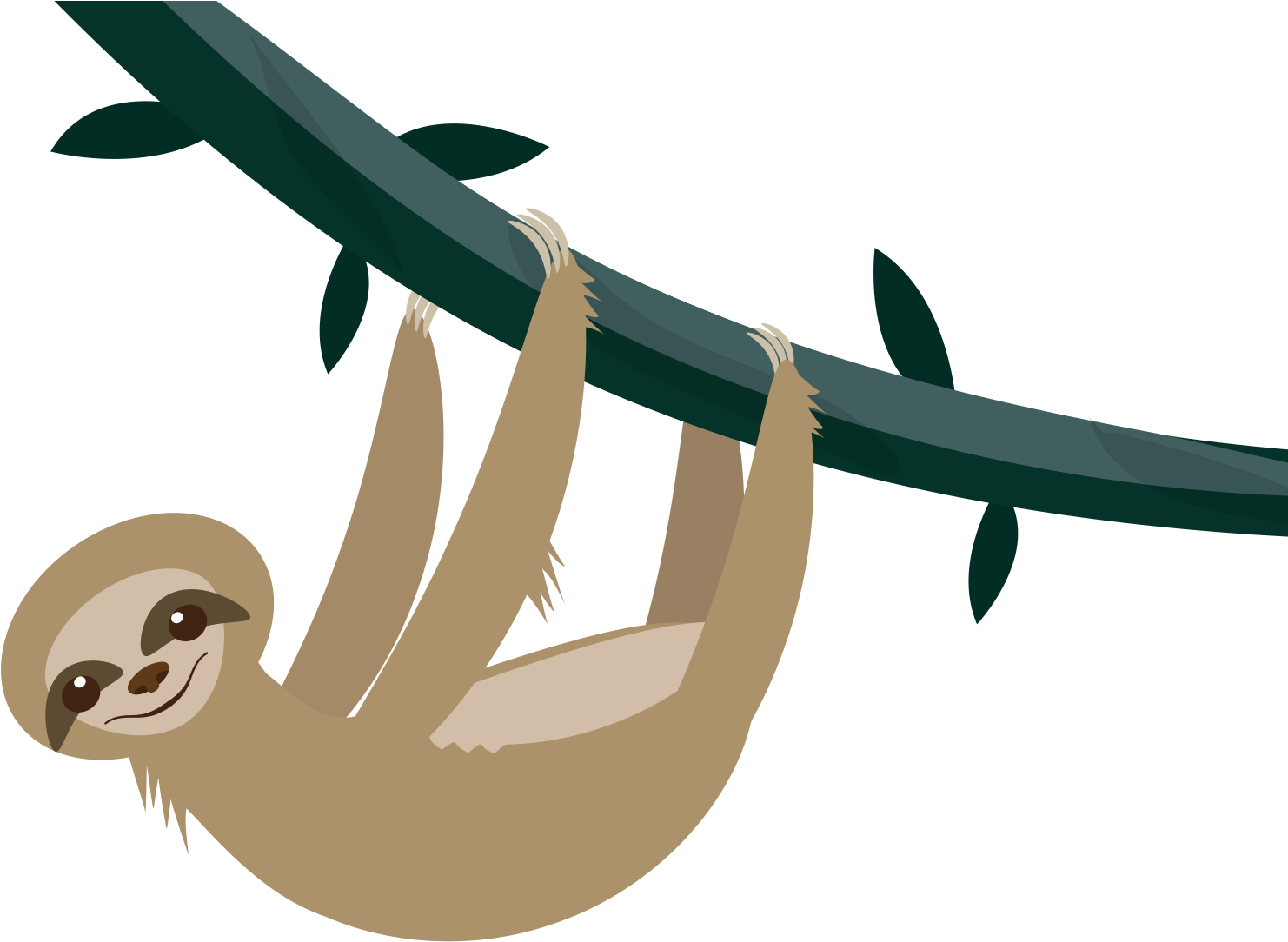 Sloth Png - Illustration Clipart (1601x1200), Png Download