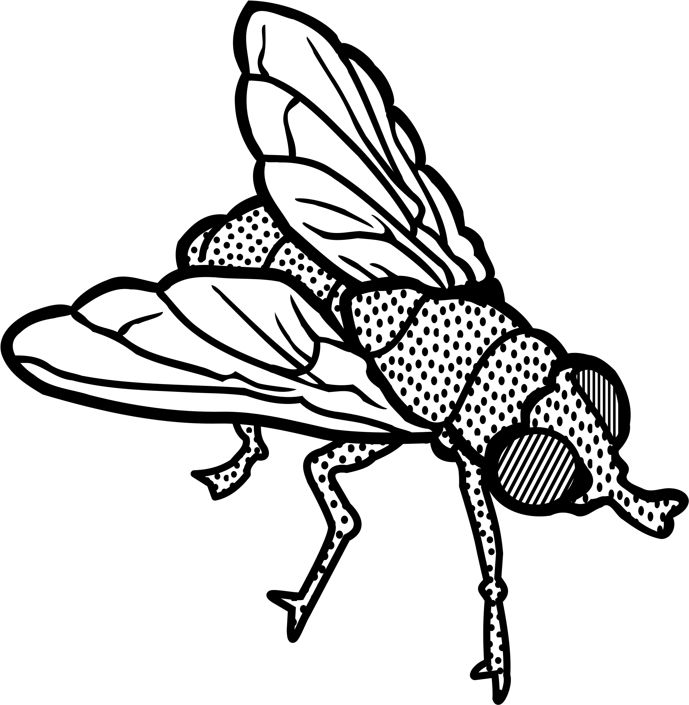 Fly Clipart Transparent - Fly Clip Art Black And White - Png Download (2350x2400), Png Download