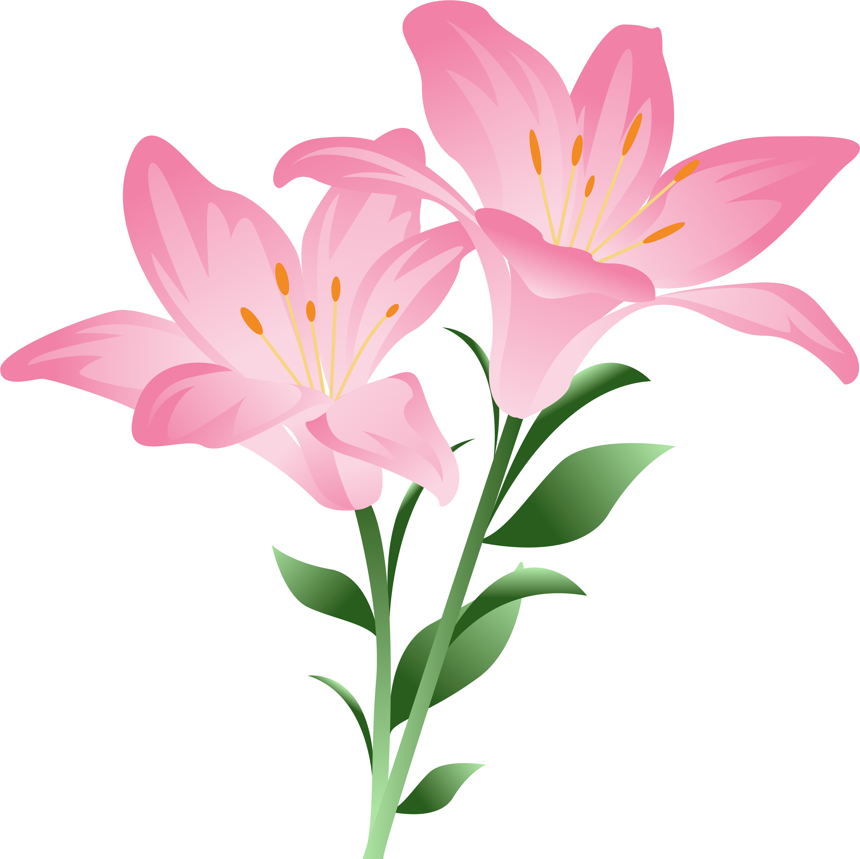Pink Lilium Png Clipart Picture - Pink Lily Clip Art Transparent Png (2950x2946), Png Download