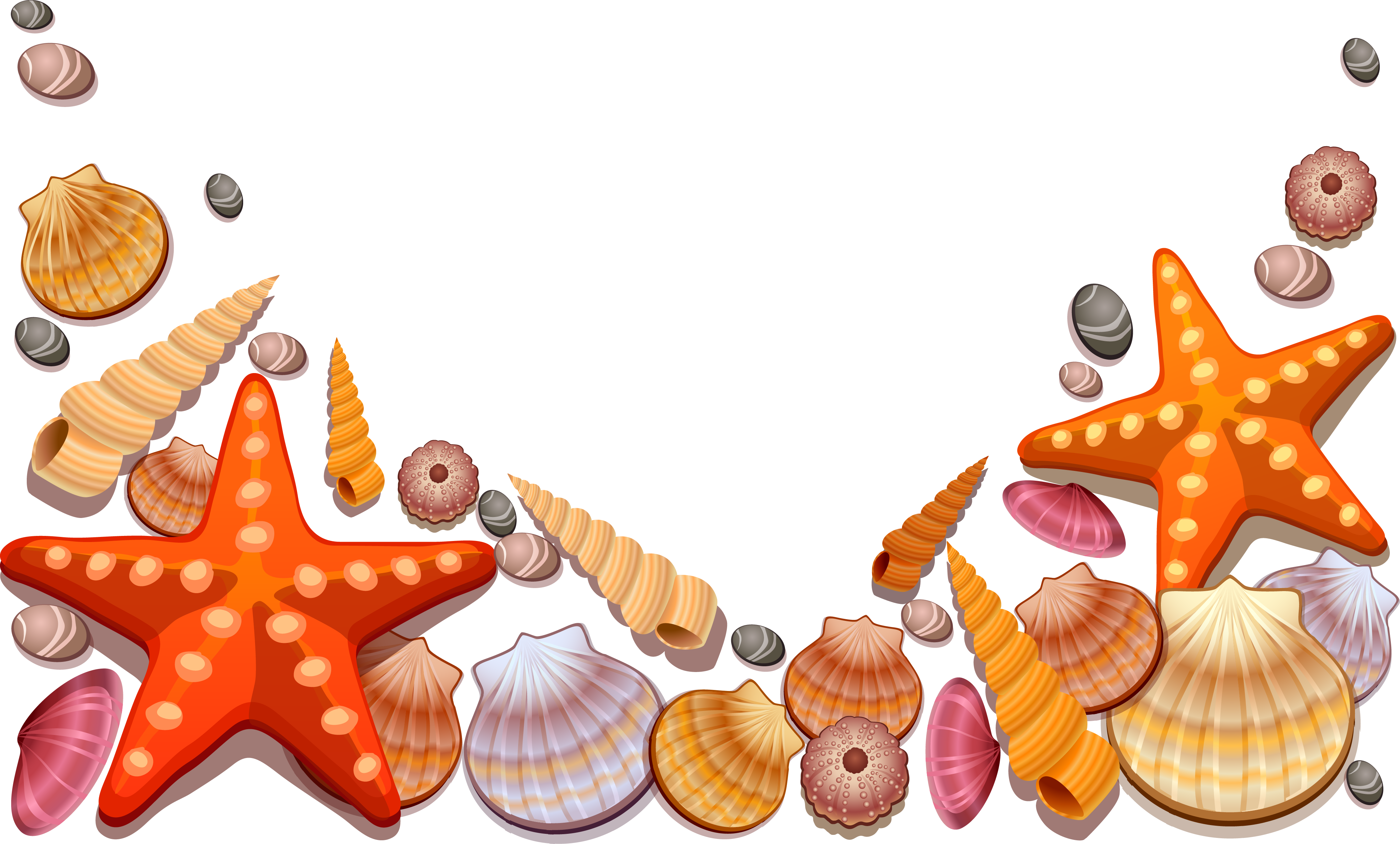 Seashell Border Png Free - Sea Shells Vector Png Clipart (4134x2493), Png Download