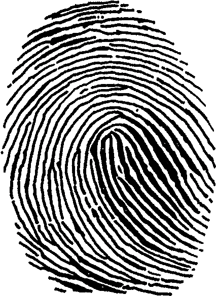 Fingerprints Clip Art - Png Download (496x648), Png Download