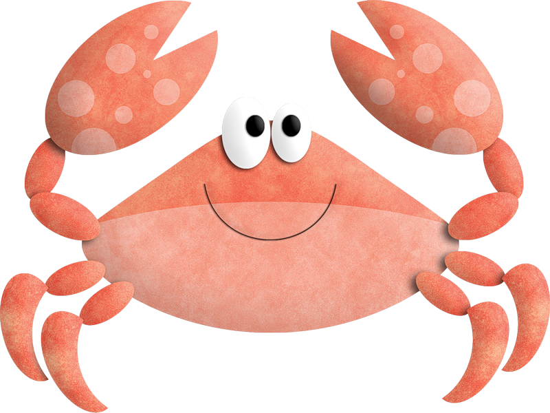 Safari‿✿⁀•○ Crab Clipart, Beach - Minus Crab Clipart - Png Download (800x600), Png Download