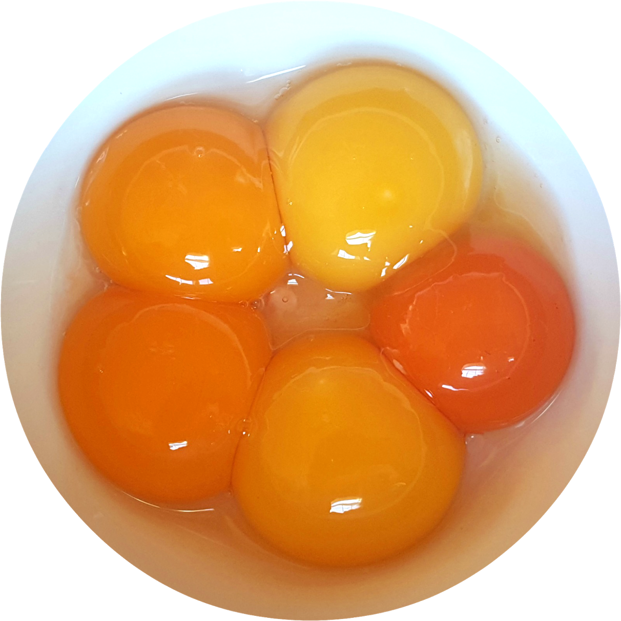 Are Fresh Eggs Really Clipart (1212x1212), Png Download