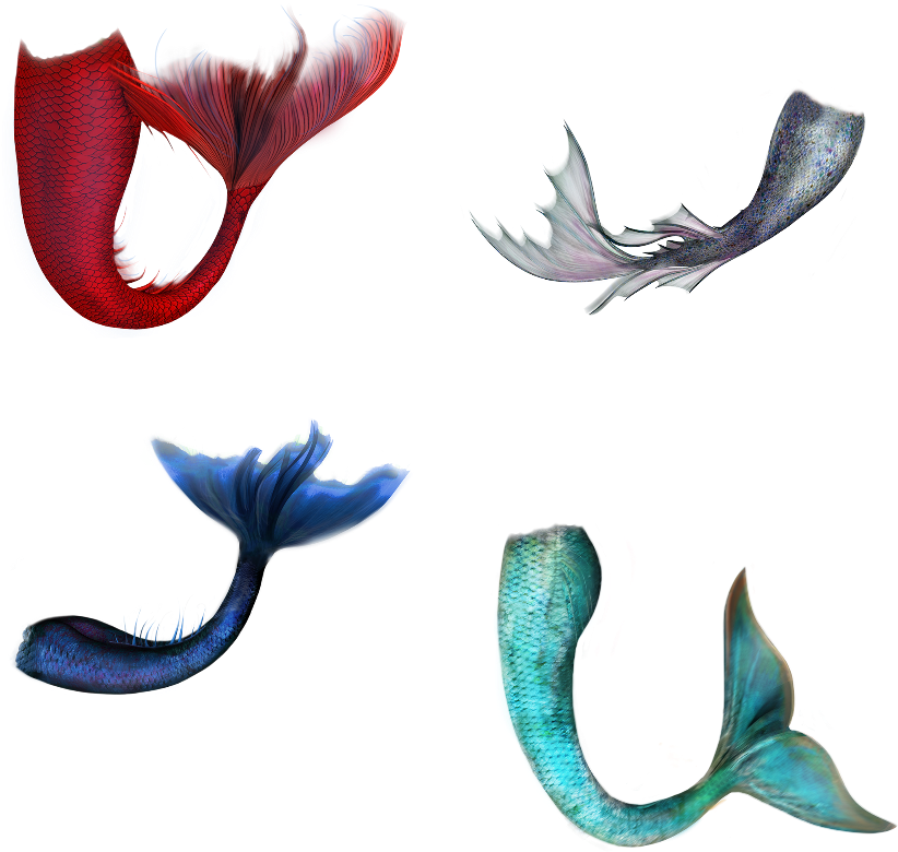 Mermaidtail Sticker - Mermaid Tail Art Clipart (1024x1024), Png Download