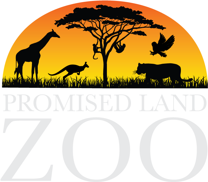 Silhouette , Png Download - Silhouette Clipart (683x597), Png Download