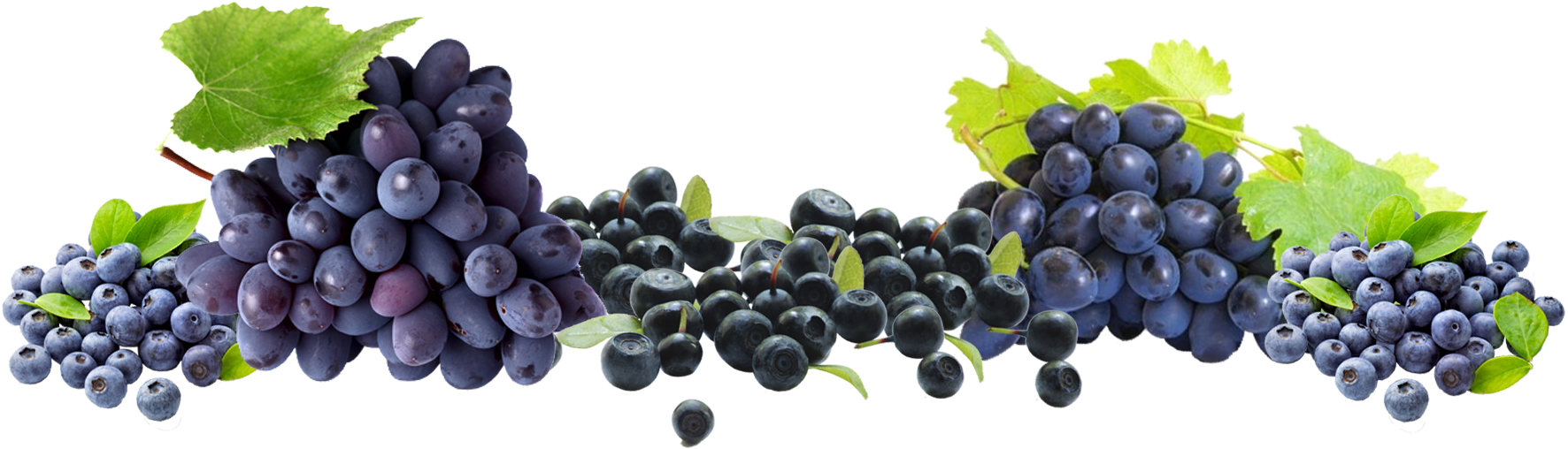 Free Grapes Png - Blueberry Clipart (1772x508), Png Download
