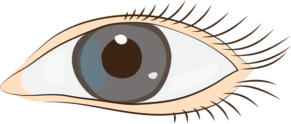 Eye Art Clip - Auge Clipart - Png Download (960x480), Png Download