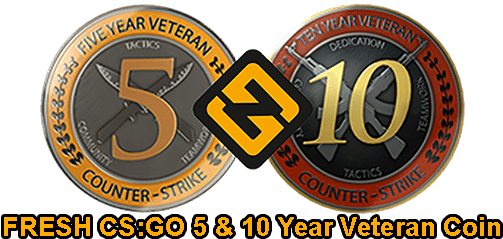 Fresh Csgo 5 & 10 Year Veteran Coin Accounts - Good Life Recordings Clipart (600x600), Png Download