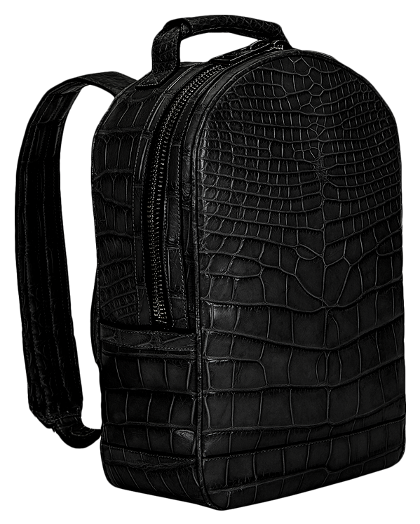 Custom Crocodile Backpack - Crocodile Backpack Clipart (1063x768), Png Download