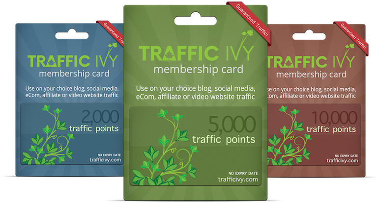 Cindy Donovan's Traffic Ivy Review - Traffic Ivy Clipart (768x426), Png Download