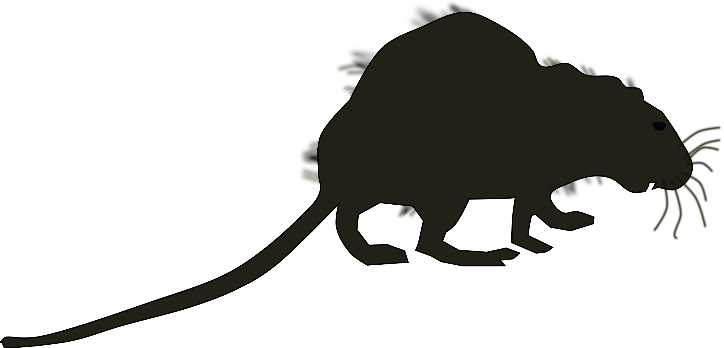 Big Image - Marsupial Clipart (2400x1153), Png Download
