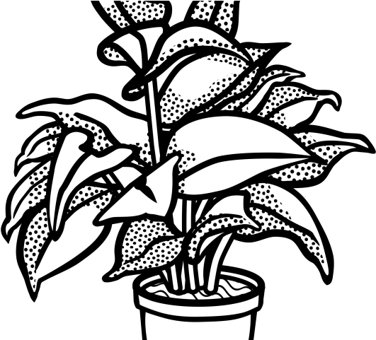 Bushes Clipart Different Plant - Plants Clip Art Black And White - Png Download (640x480), Png Download