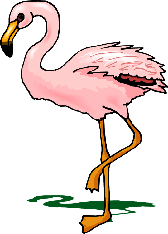 Top 84 Flamingo Clipart - Cartoon Flamingo Transparent - Png Download (539x750), Png Download