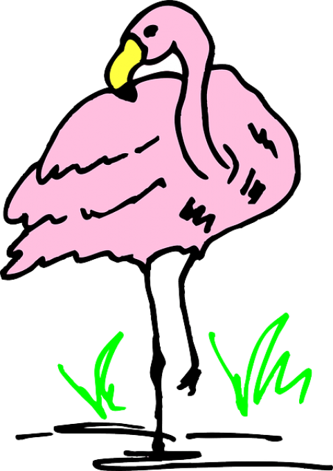 Free Png Download Flamingo Cartoon Png Images Background - Gambar Hewan Flamingo Kartun Clipart (481x680), Png Download
