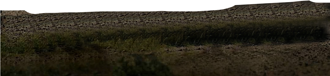 Picsart 06 09 - Grass Clipart (1080x1104), Png Download