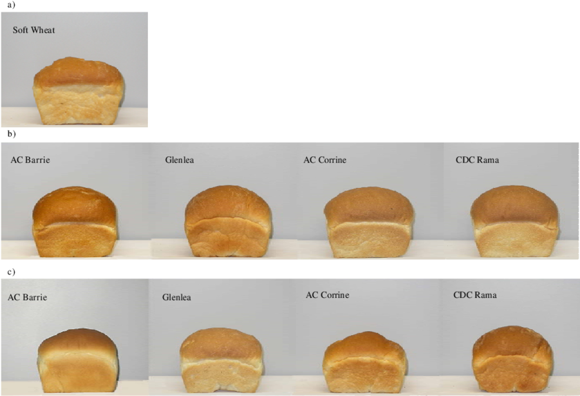 Breads Prepared From A) Soft Wheat Flour, B) Blends - Fast Food Clipart (850x583), Png Download