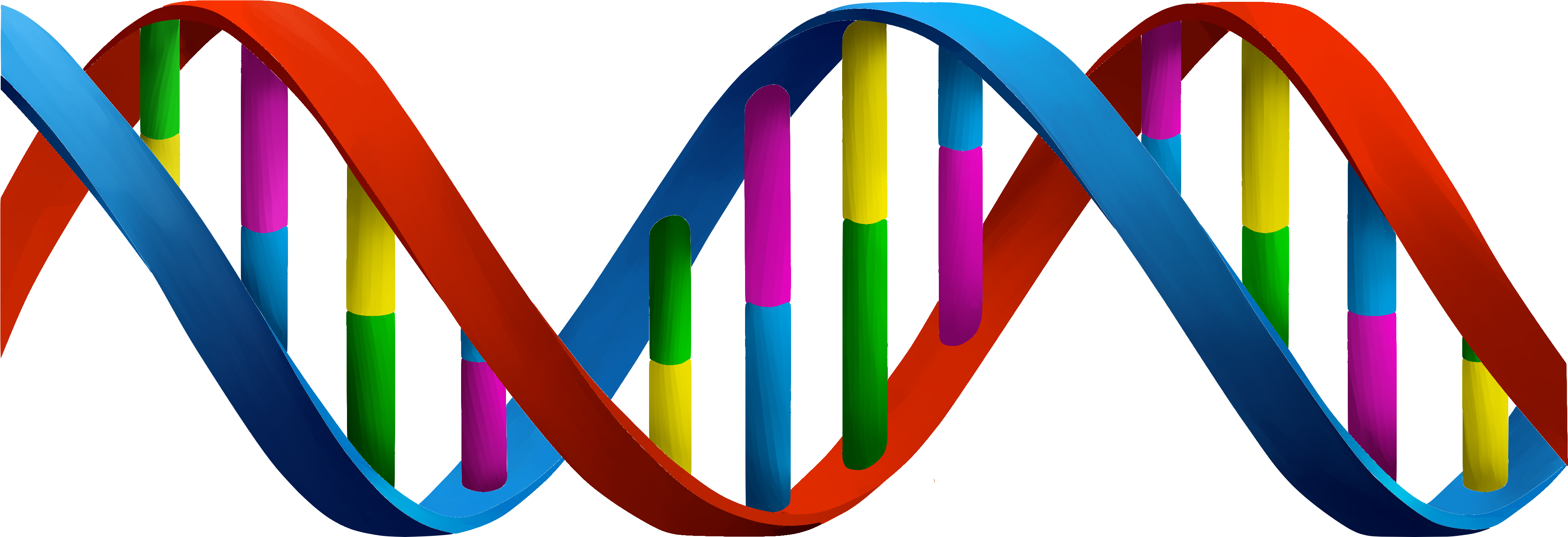 Dna Png Clipart (5000x2000), Png Download