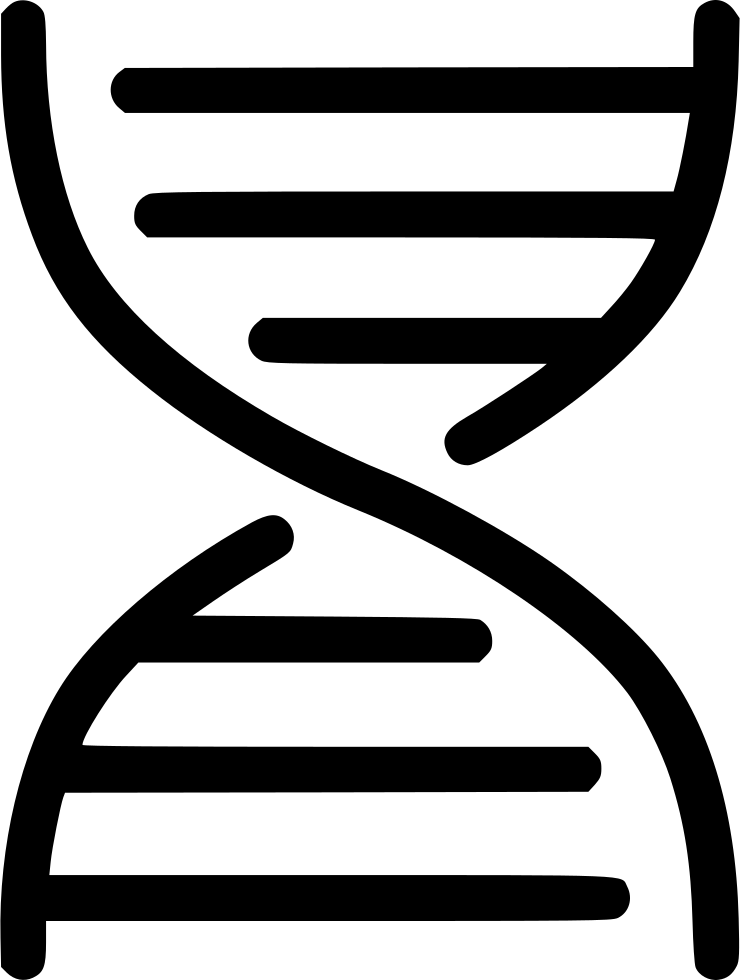Png File Svg - Genome Sequence Icon Clipart (740x980), Png Download