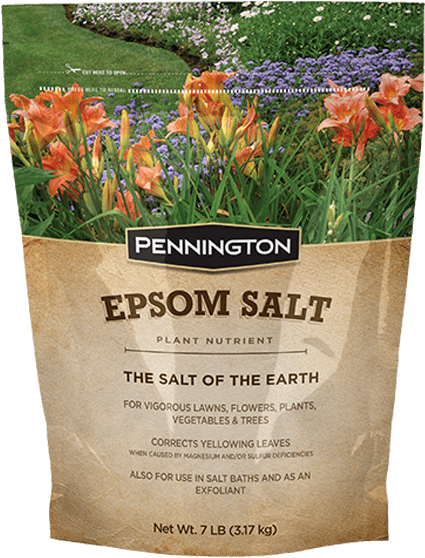 Pennington Epsom Salt Clipart (600x600), Png Download