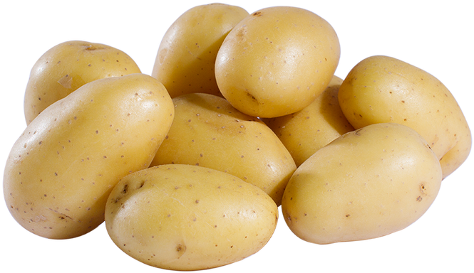 The Potato - Yukon Gold Potato Clipart (1024x683), Png Download