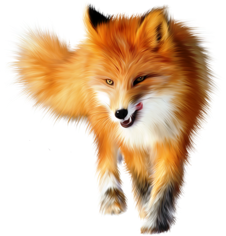 Cute Fox Pictures - Fox Animal Png Clipart (765x800), Png Download