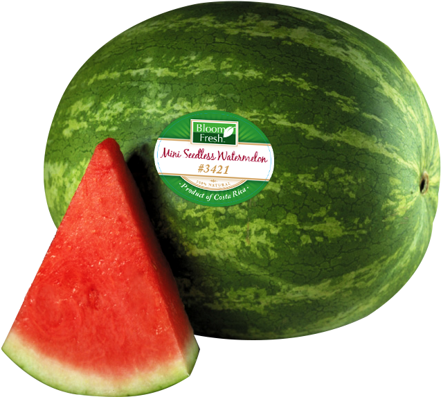 Watermelon Png Transparent Images - Watermelon Clip Art (1050x826), Png Download