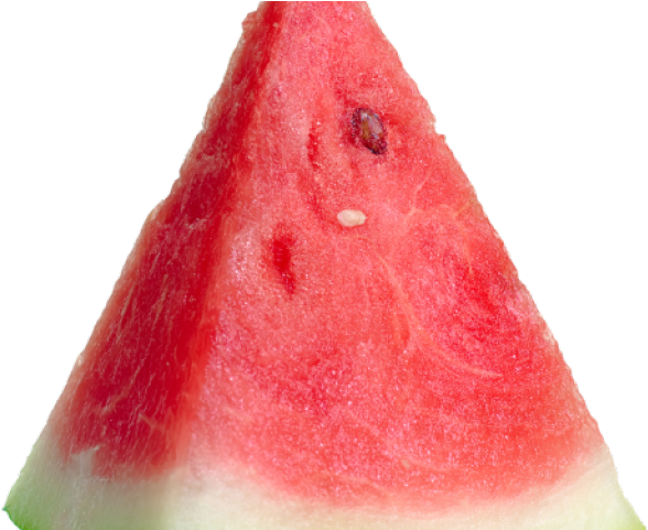 Watermelon Clipart (640x480), Png Download