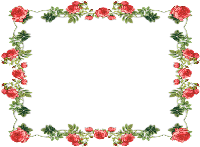 800 X 600 30 - Orange Floral Background Border Designs Clipart (800x600), Png Download