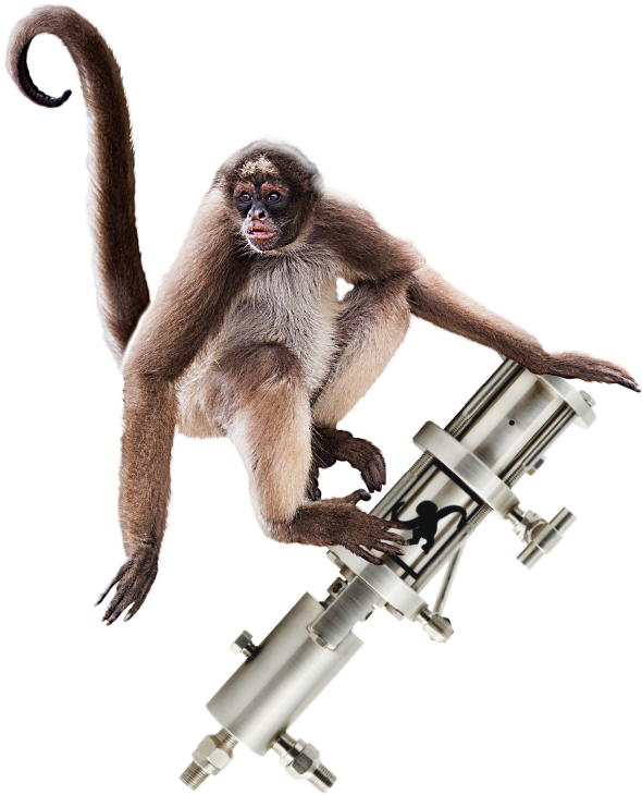 600 X 820 0 - Spider Monkey Clipart (600x820), Png Download
