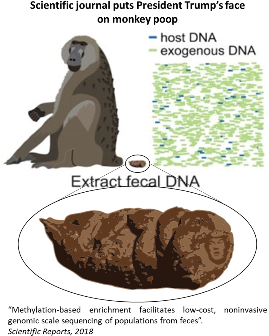 Journal Puts Trump's Face On Poop Clipart (867x1125), Png Download