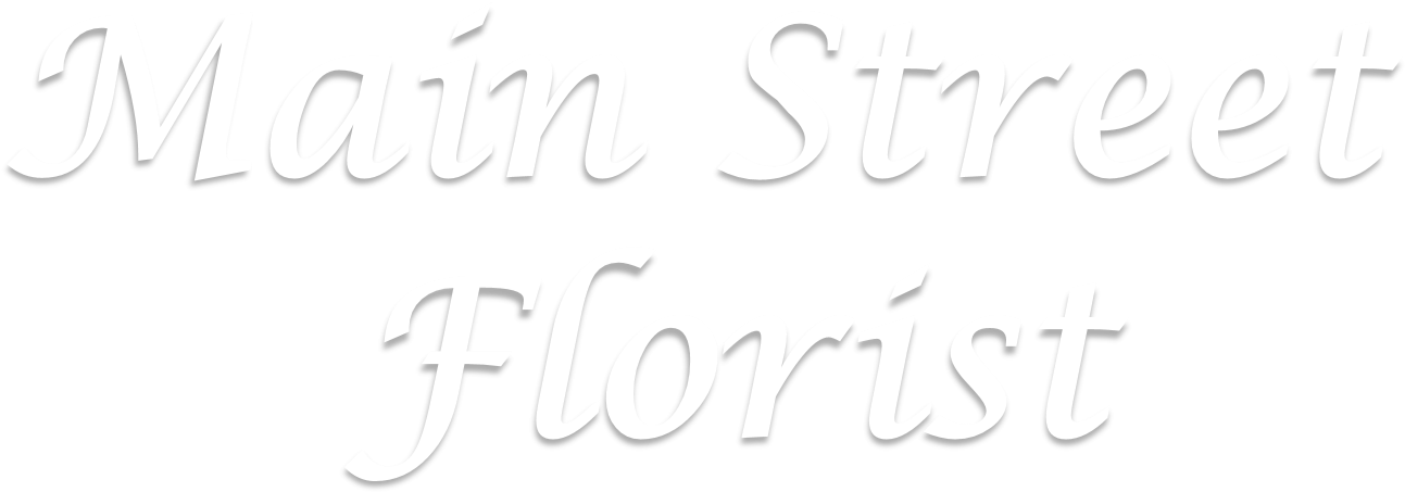 Calligraphy Clipart (1603x681), Png Download