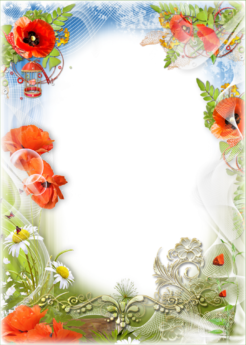 Abstract Floral Frame Png - Transparent Png Photo Frame Clipart (856x1200), Png Download