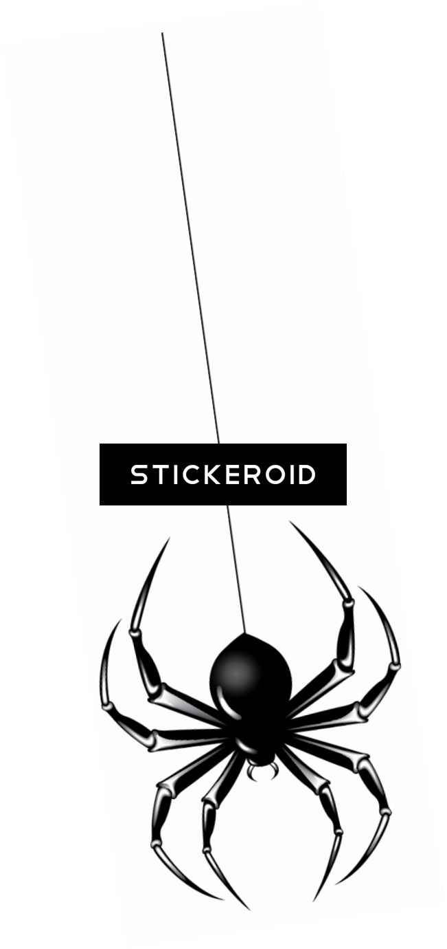 651 X 1380 1 - Black Widow Clipart (651x1380), Png Download