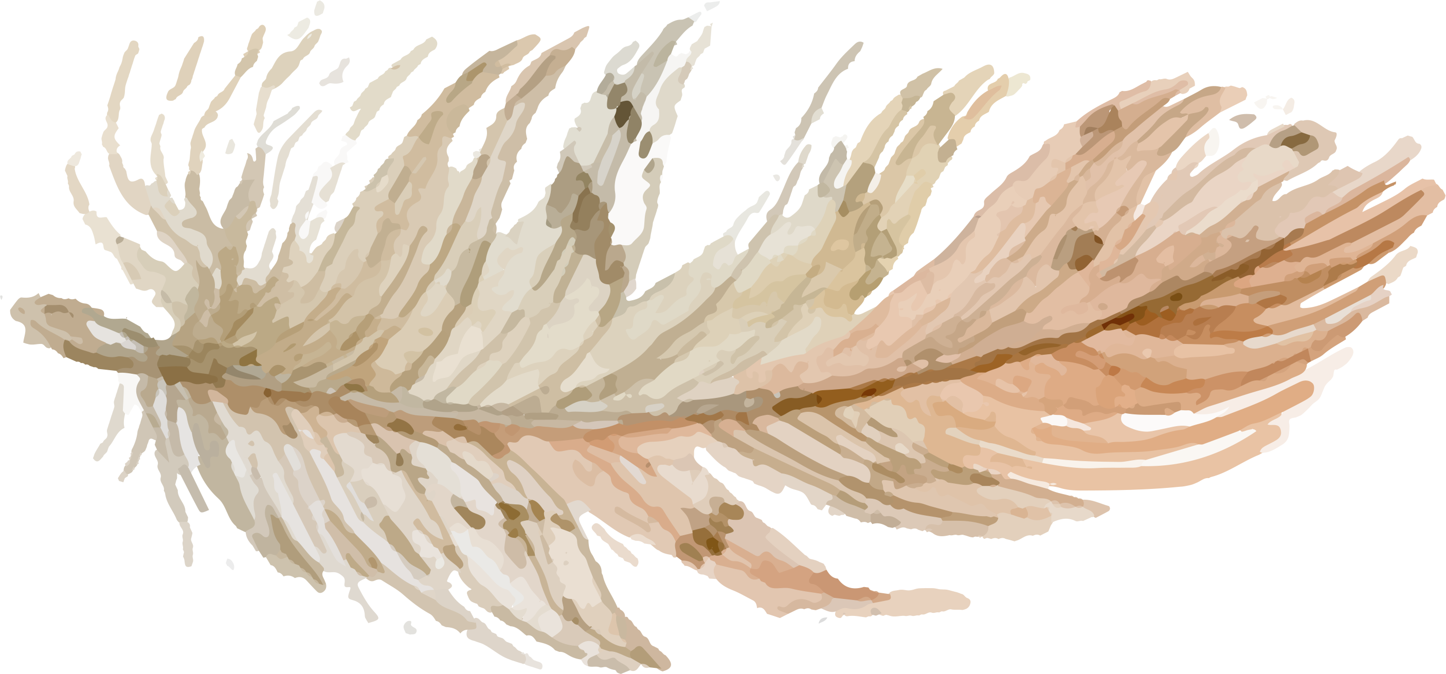 Free Hand Drawn Pretty - Hand Drawn Feathers Png Clipart (2812x1311), Png Download